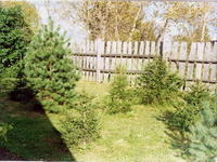 Частный  лес