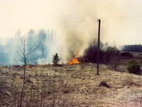 Трава горит-2