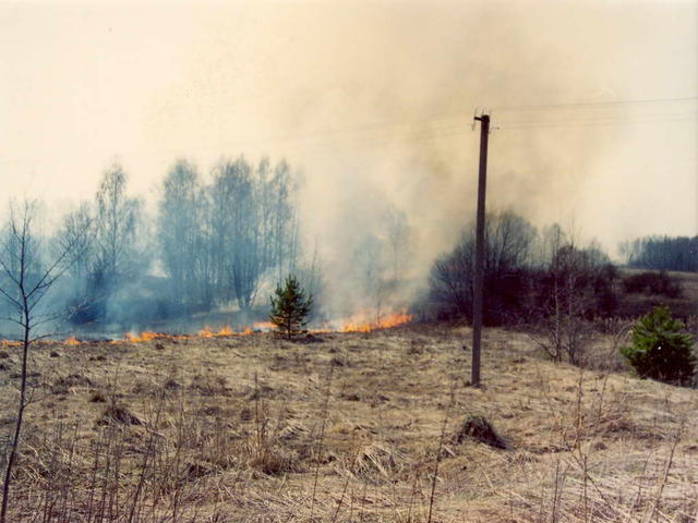 Трава горит