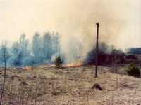 Трава горит