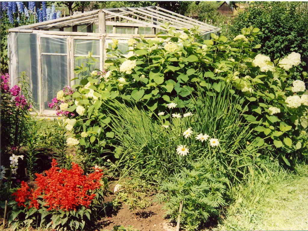 Уголок сада-2