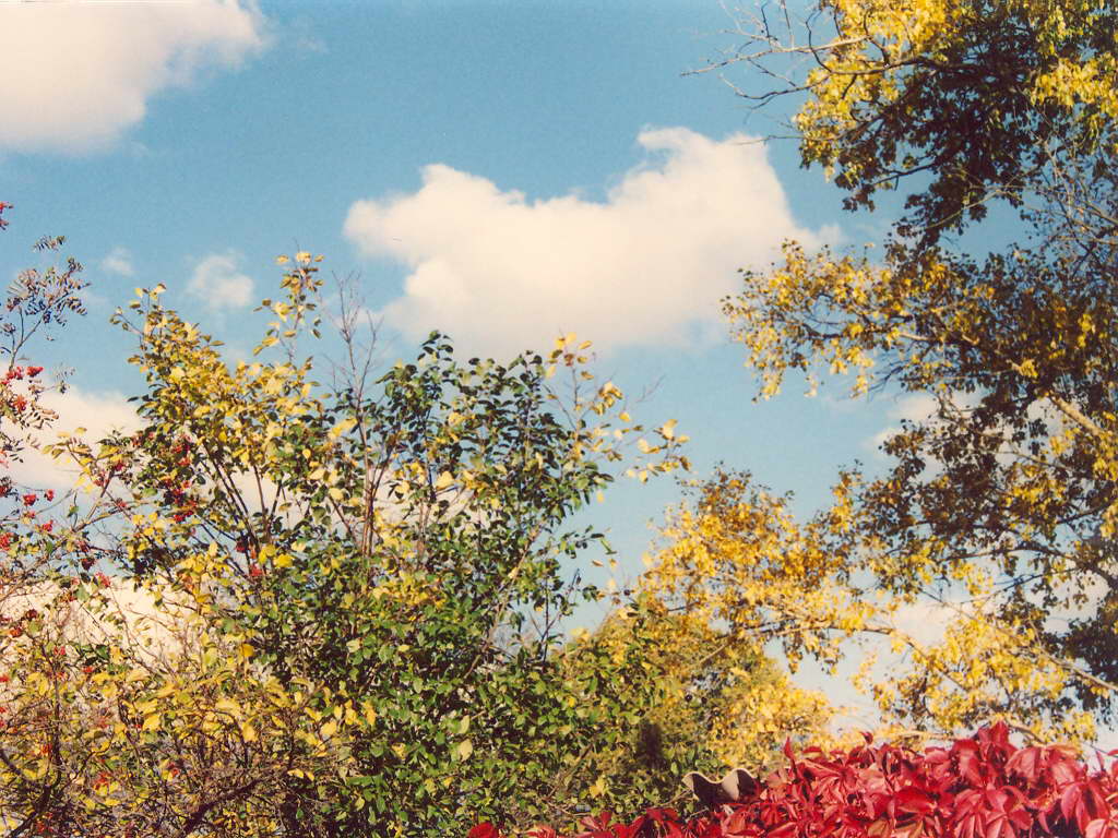 Осеннее небо-2