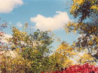 Осеннее небо-2