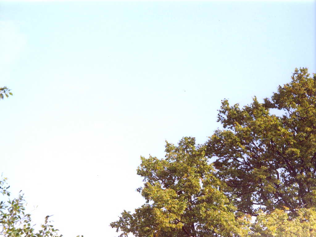 Осеннее небо-3