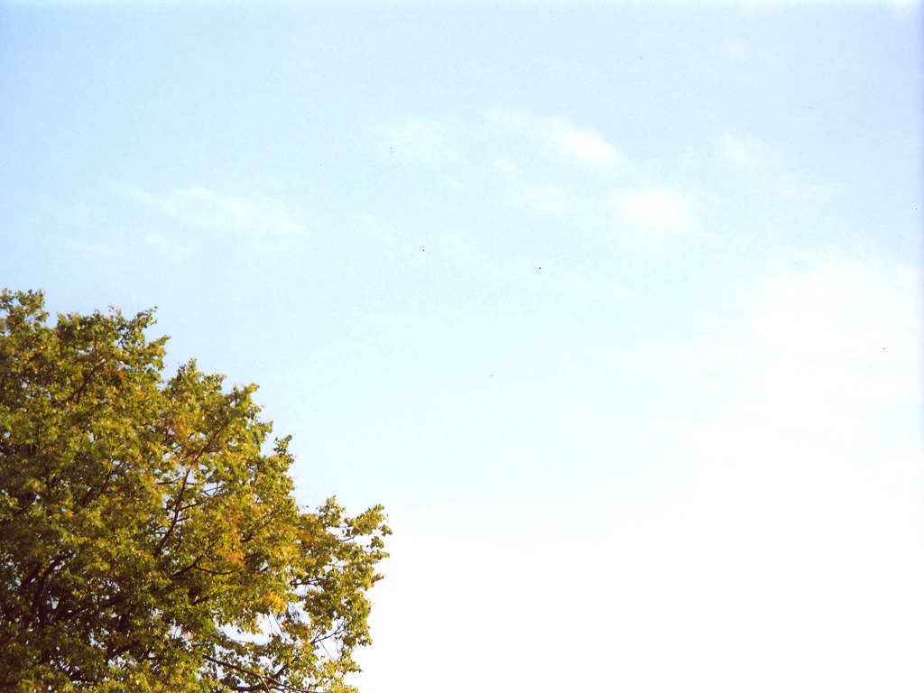 Осеннее небо-4