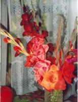 Гладиолусы-2