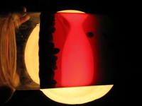 Нустойка на кедровых орехах делается...Вид бутылки, подсвеченой сзади