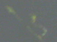 20050707_230413