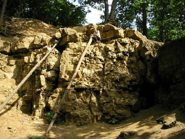 P7310037