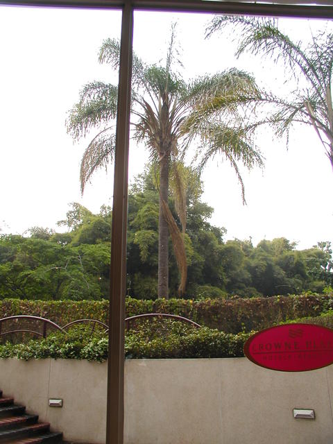 P1010638
