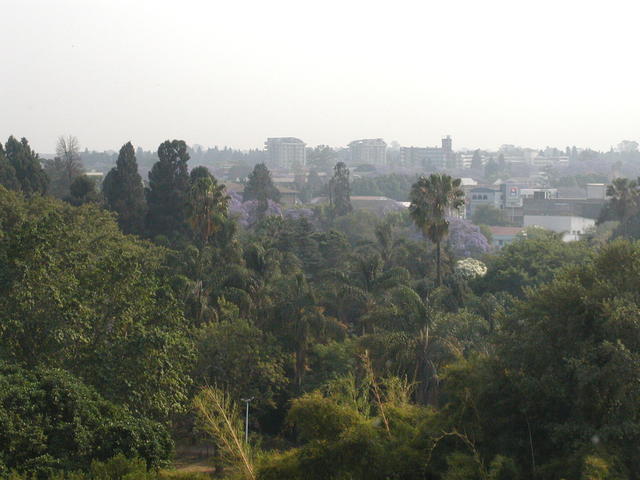 P1010643