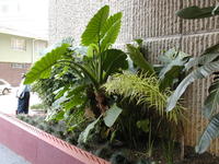 P1010645