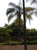 P1010648