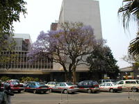 P1010649