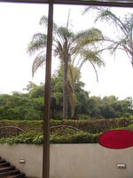 Африка Зимбабве