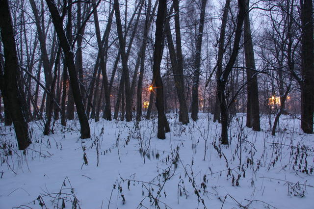 IMGP0156