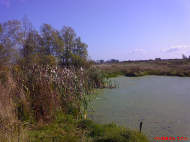 DSC00037
