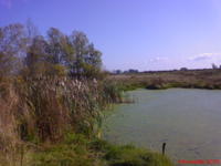DSC00037