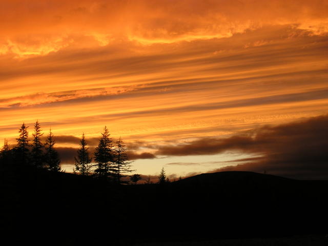 P8230109