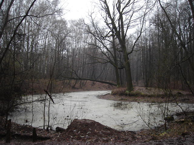 Царицино