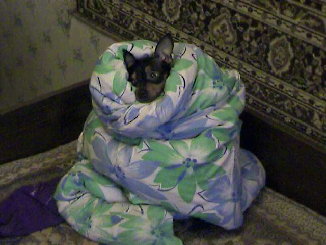 Изображение 008