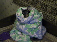 Изображение 008