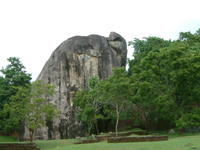 DSCF0022.JPG