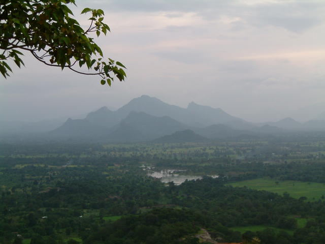 DSCF0055.JPG