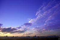 00000_2