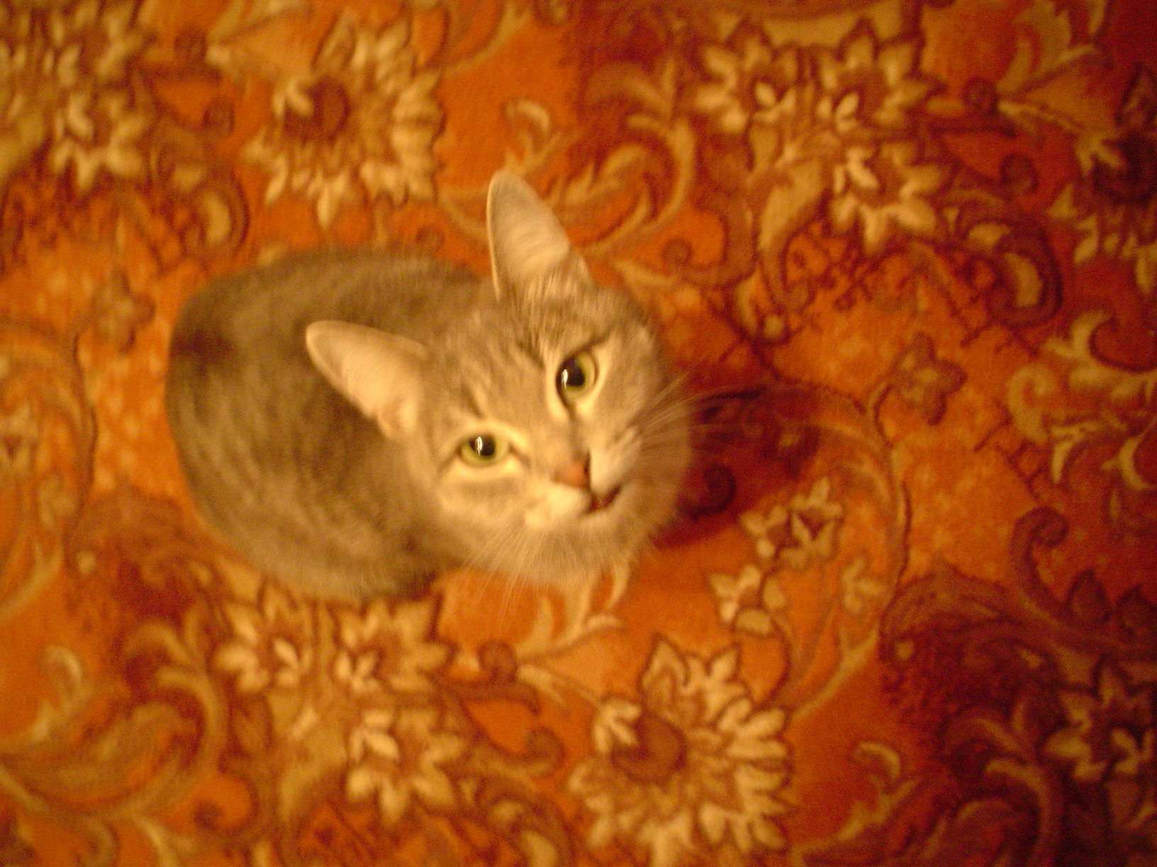 Определенно кусочек меня)