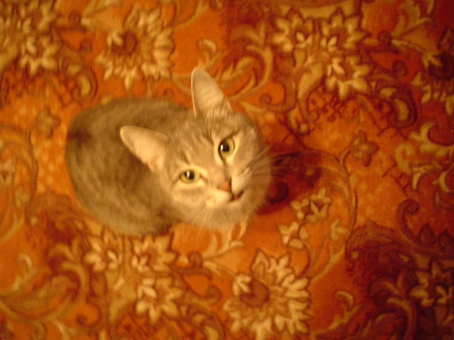 Определенно кусочек меня)