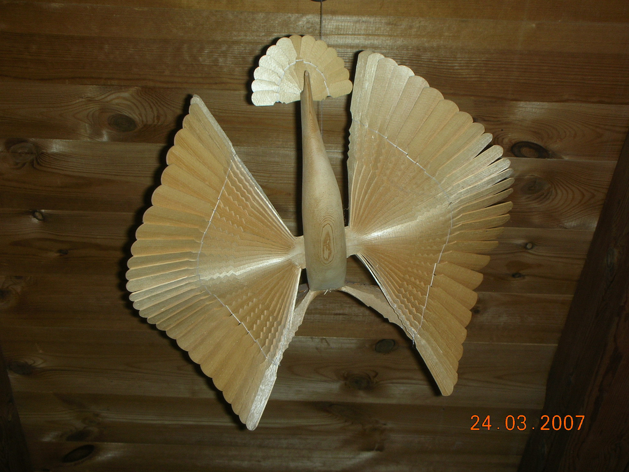 DSCN0499