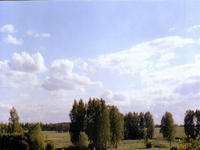 ВИД 5