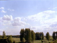 ВИД
