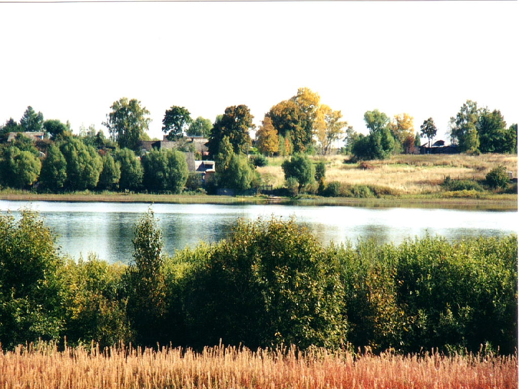 Дер.чашницы