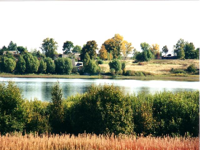 Дер.чашницы