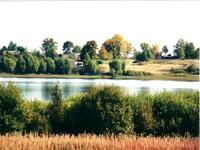 Дер.чашницы