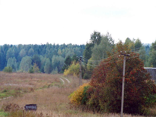 Дорога