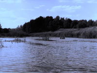 Нерль 3