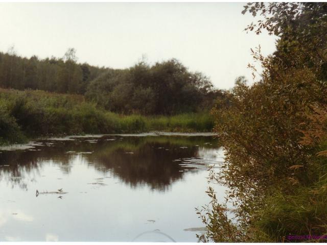 Нерль 6