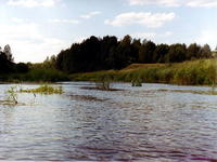 Нерль- 10