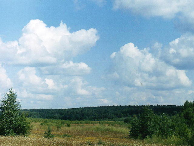 Облока