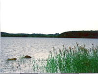 Оз. Рюмники 1