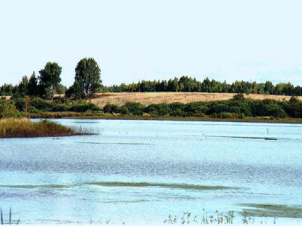 Оз. Чашники-1