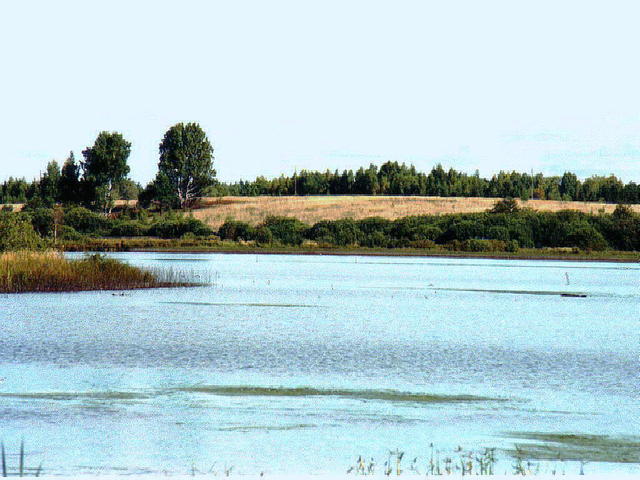 Оз. Чашники-1