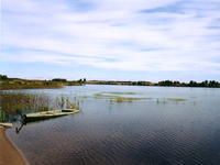 Оз.Чашники-0