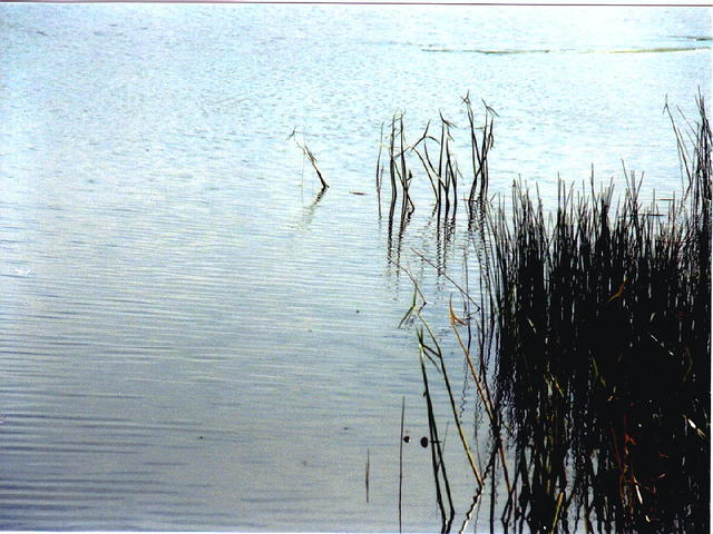 Оз.Чашники -2