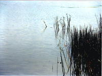 Оз.Чашники -2