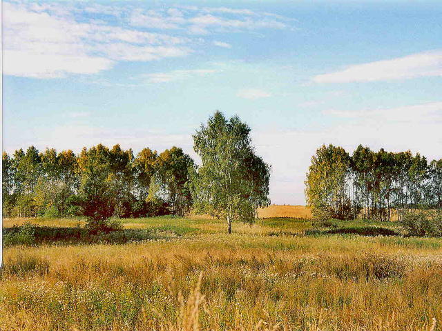 Осенние просторы