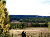 Осенний вид1